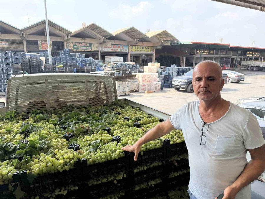 Yüksek Rekolte Üzüm Fiyatlarını Düşürdü