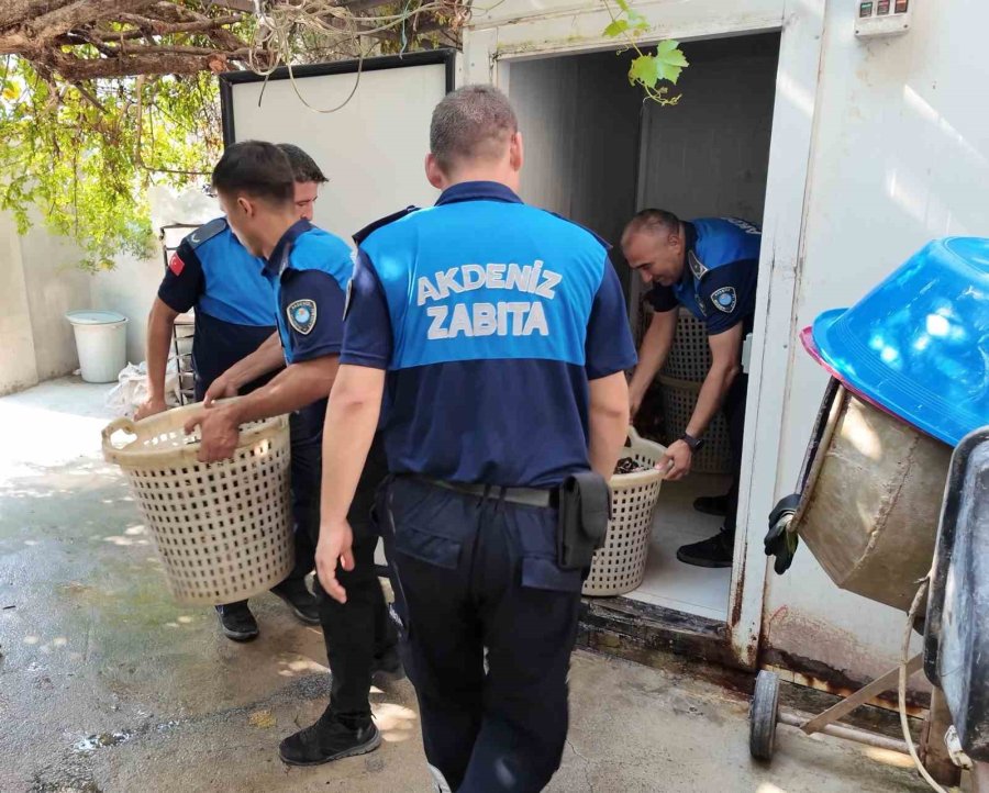 Mersin’de 200 Kilo Bozuk Midye Dolması Ele Geçirildi
