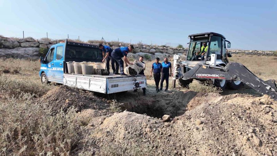 Mersin’de 200 Kilo Bozuk Midye Dolması Ele Geçirildi