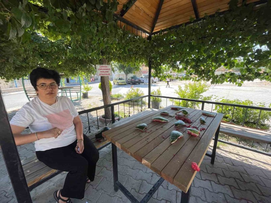 Muhtarın Karpuz Kabuğu Tepkisi