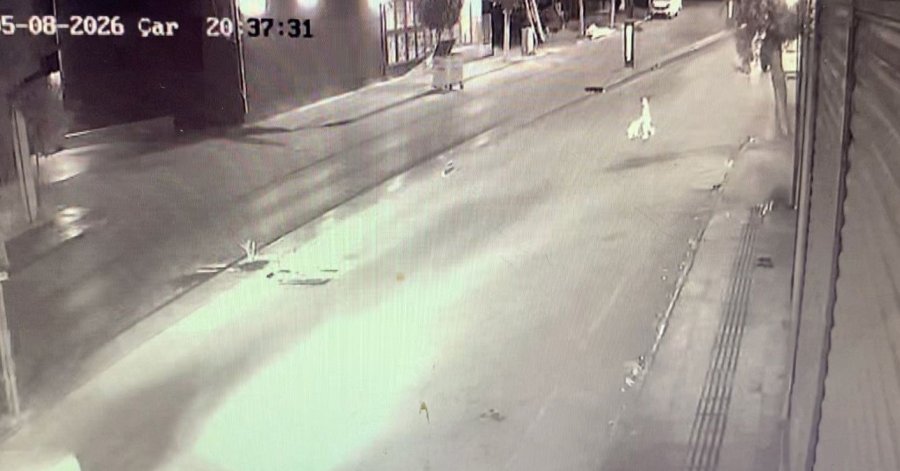 İşyeri Bahçesinde Mangal Yakan Ailenin Aniden Yola Fırlayan 2 Yaşındaki Çocuğu Ölümden Döndü