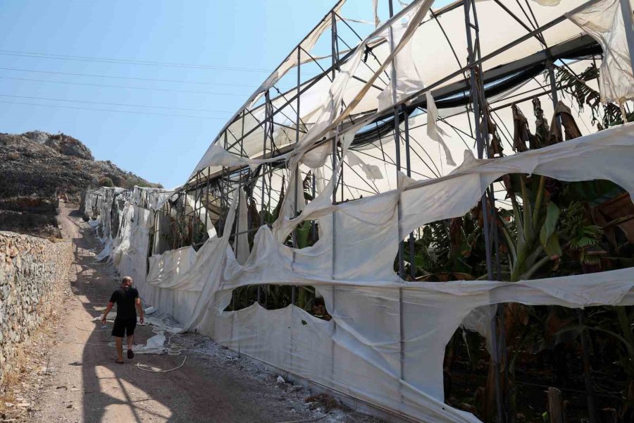 Alanya Ve Gazipaşalı Yangınzede Üreticilere Sera Naylonu Desteği