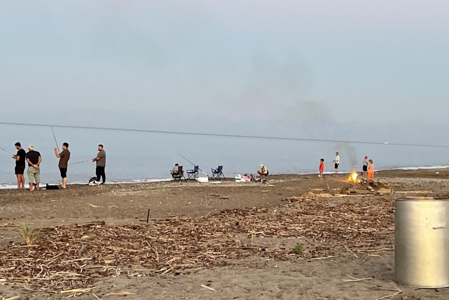Kumsalda Yakılan Ateş Denize Ulaşmaya Çalışan Yavru Carettayı Yakıp Telef Etti