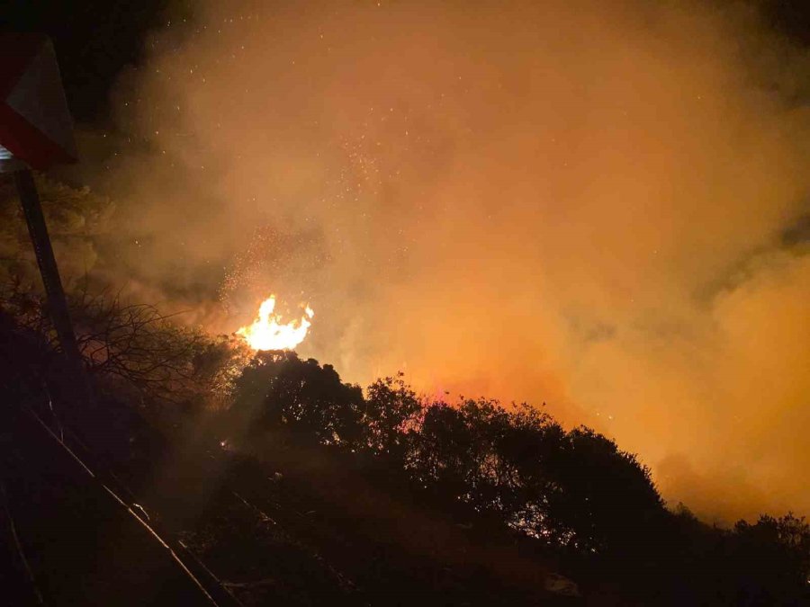 Gazipaşa’da Makilik Alanda Yangın