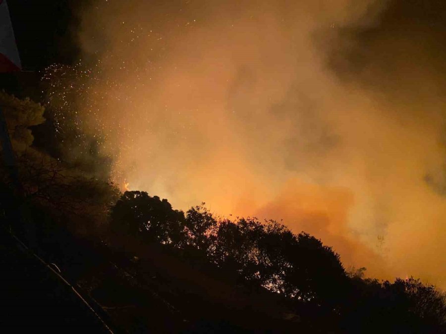 Gazipaşa’da Makilik Alanda Yangın