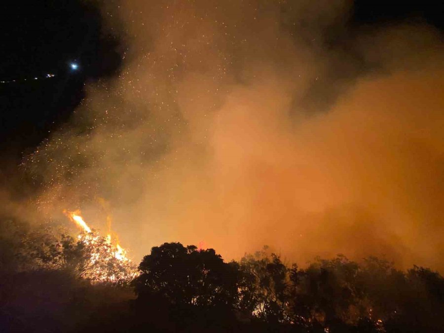 Gazipaşa’da Makilik Alanda Yangın