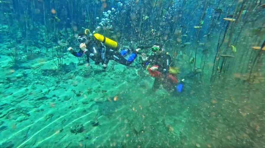 Antalya’nın Koruma Altındaki Doğal Sit Alanında ’olmaz Bu Kadar ’dedirten Görüntüler