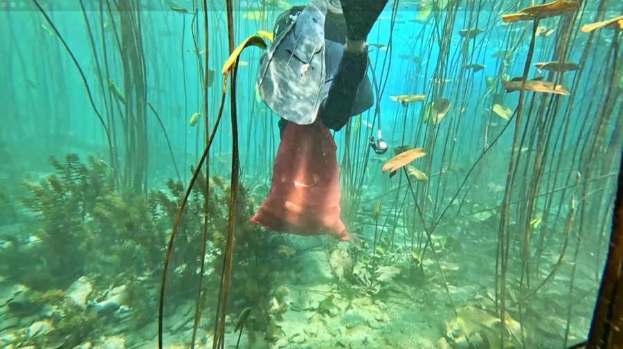 Antalya’nın Koruma Altındaki Doğal Sit Alanında ’olmaz Bu Kadar ’dedirten Görüntüler