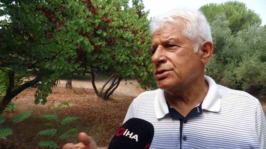 Antalya’nın Koruma Altındaki Doğal Sit Alanında ’olmaz Bu Kadar ’dedirten Görüntüler