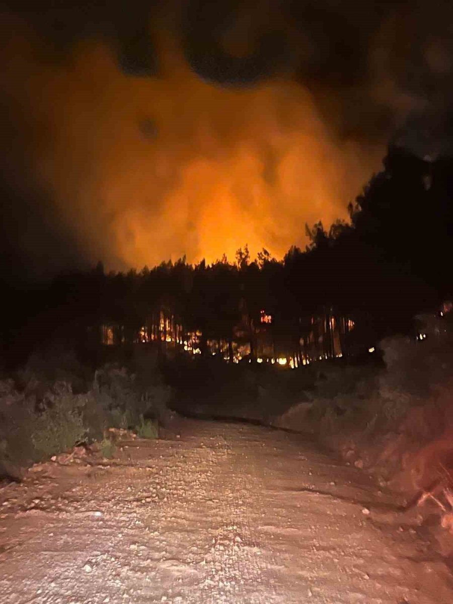 Alanya’da Ormanlık Alanda Çıkan Yangın Kontrol Altına Alındı