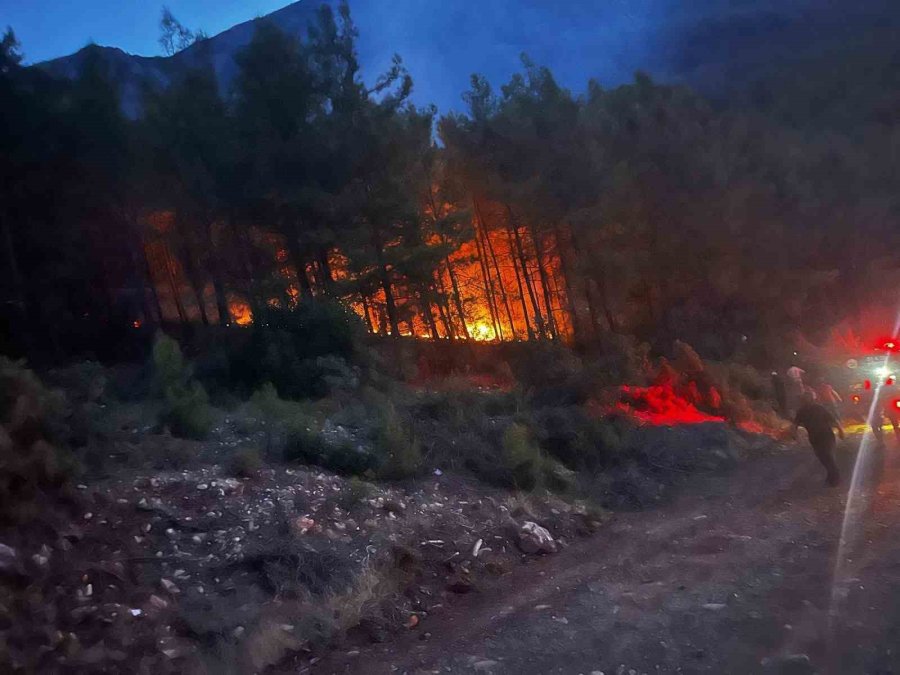 Alanya’da Ormanlık Alanda Çıkan Yangın Kontrol Altına Alındı