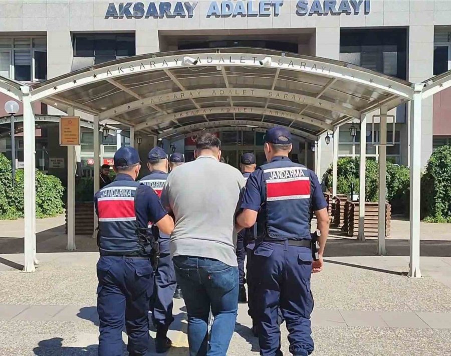 Köpekleri Dövüştürüp Sosyal Medyada Paylaştılar, Jandarma Ekiplerince Operasyonla Yakalandılar