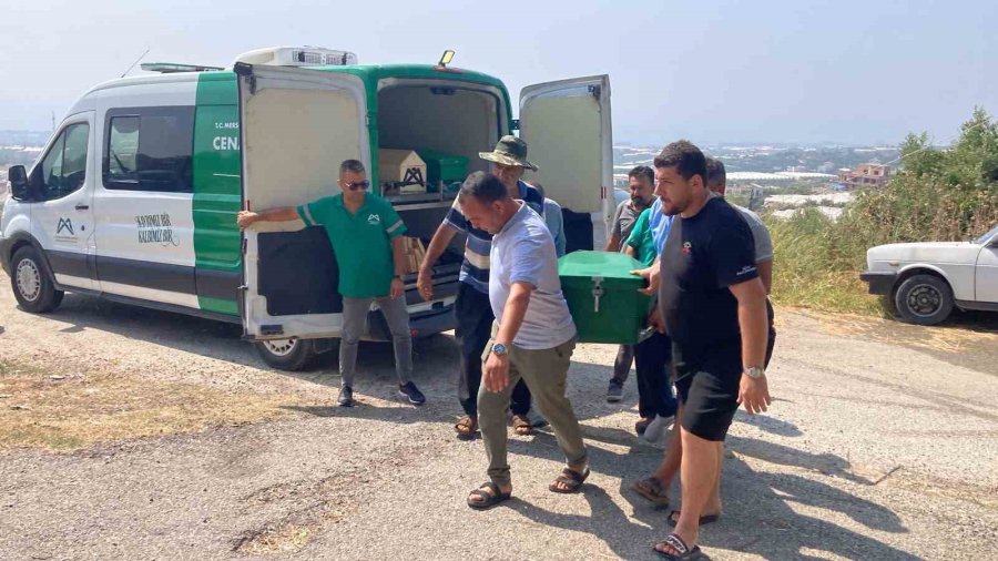 Mersin’deki Kasklı Dehşette Hayatını Kaybeden Yaşlı Adam Toprağa Verildi