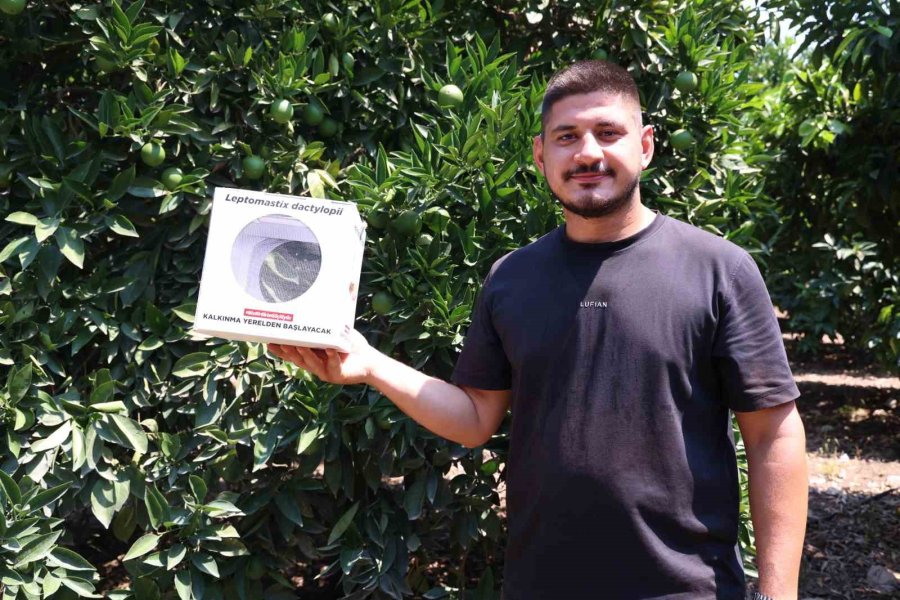 Antalya Büyükşehir’den 800 Dekarlık Arazi İçin Çiftçilere Faydalı Böcek Dağıtımı