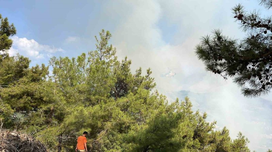 Antalya’da İki İlçede Çıkan Orman Yangınına Müdahale Ediliyor