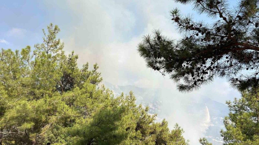 Antalya’da İki İlçede Çıkan Orman Yangınına Müdahale Ediliyor