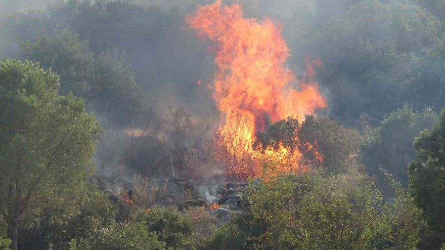 Antalya’da İki İlçede Çıkan Orman Yangınları Kontrol Altına Alındı