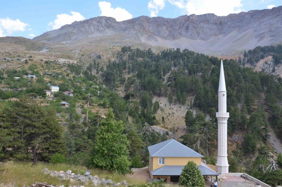 Büyükşehir Belediyesi Üreticiyi Desteklemeyi Sürdürüyor