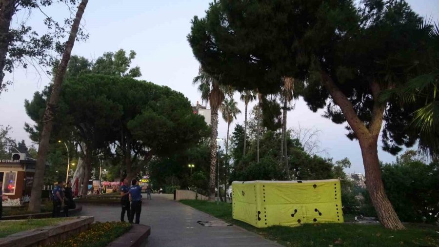 Bunalıma Girip Çam Ağacına Tırmandı, Sıcaktan Da Bunalınca Suyla İkna Edildi