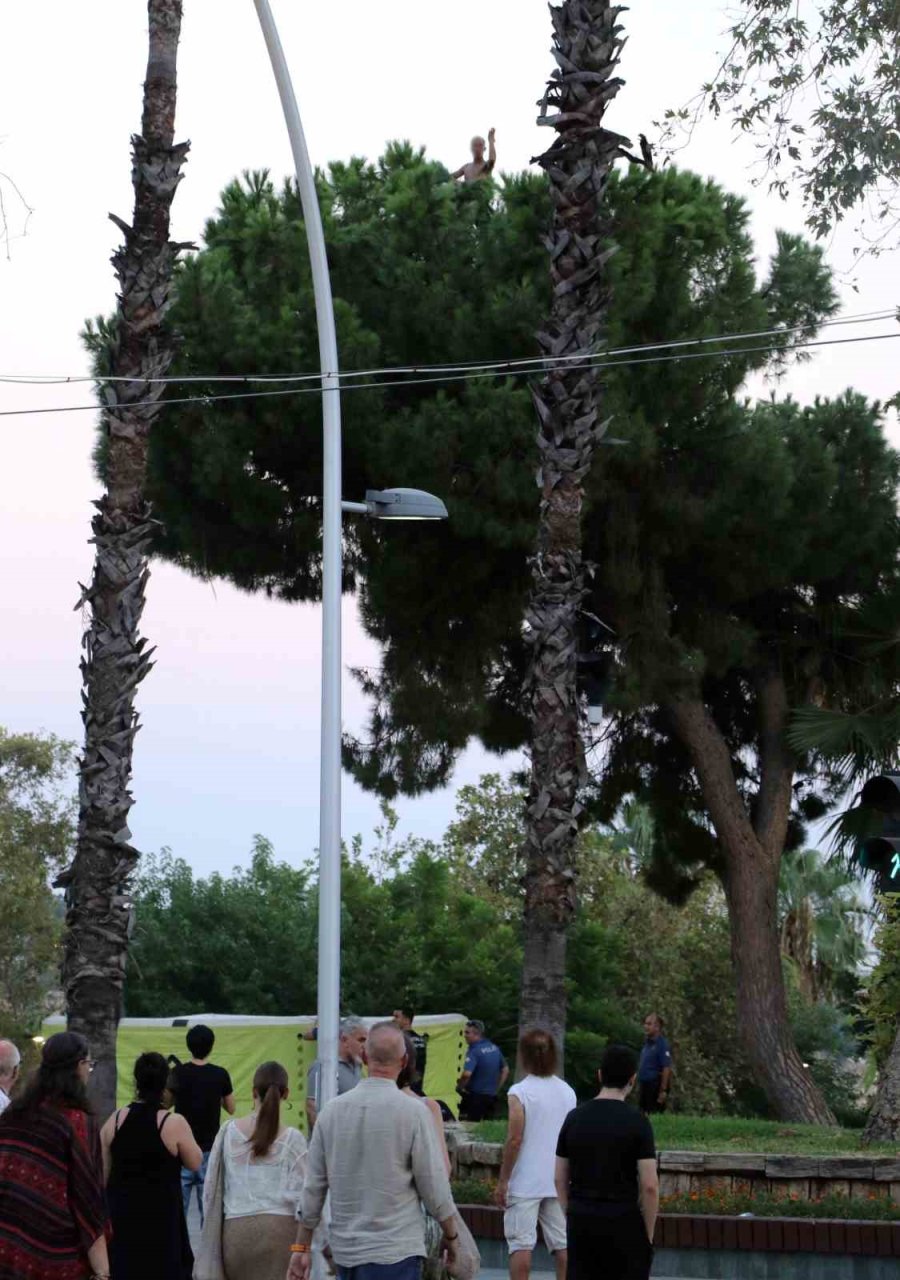 Bunalıma Girip Çam Ağacına Tırmandı, Sıcaktan Da Bunalınca Suyla İkna Edildi