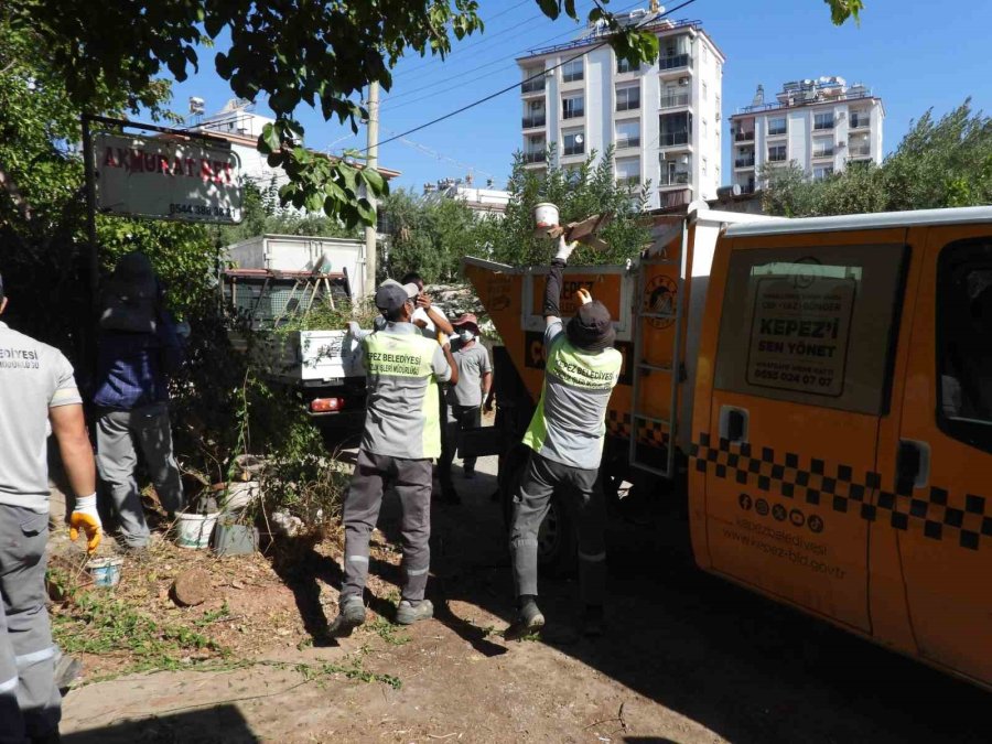Antalya’da Evden 5 Kamyon Çöp Çıktı: Temizlenip Yaşam Alanları Yenilendi