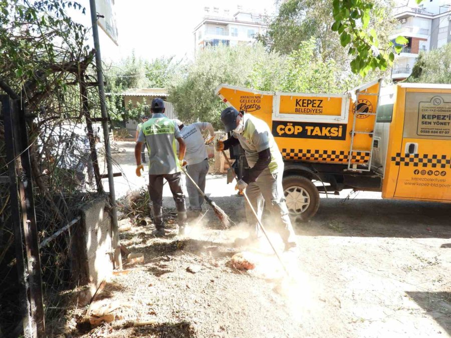 Antalya’da Evden 5 Kamyon Çöp Çıktı: Temizlenip Yaşam Alanları Yenilendi
