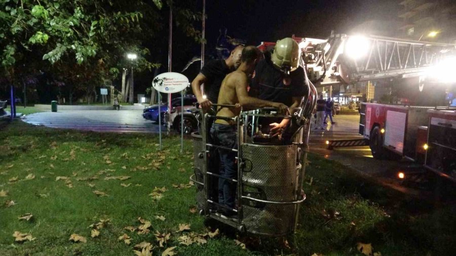 Bunalıma Girip Çam Ağacına Tırmandı, Sıcaktan Da Bunalınca Suyla İkna Edildi