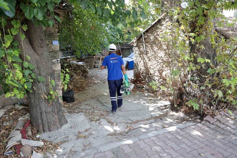 Sinek Ve Haşerelere Karşı Mücadele Sürüyor