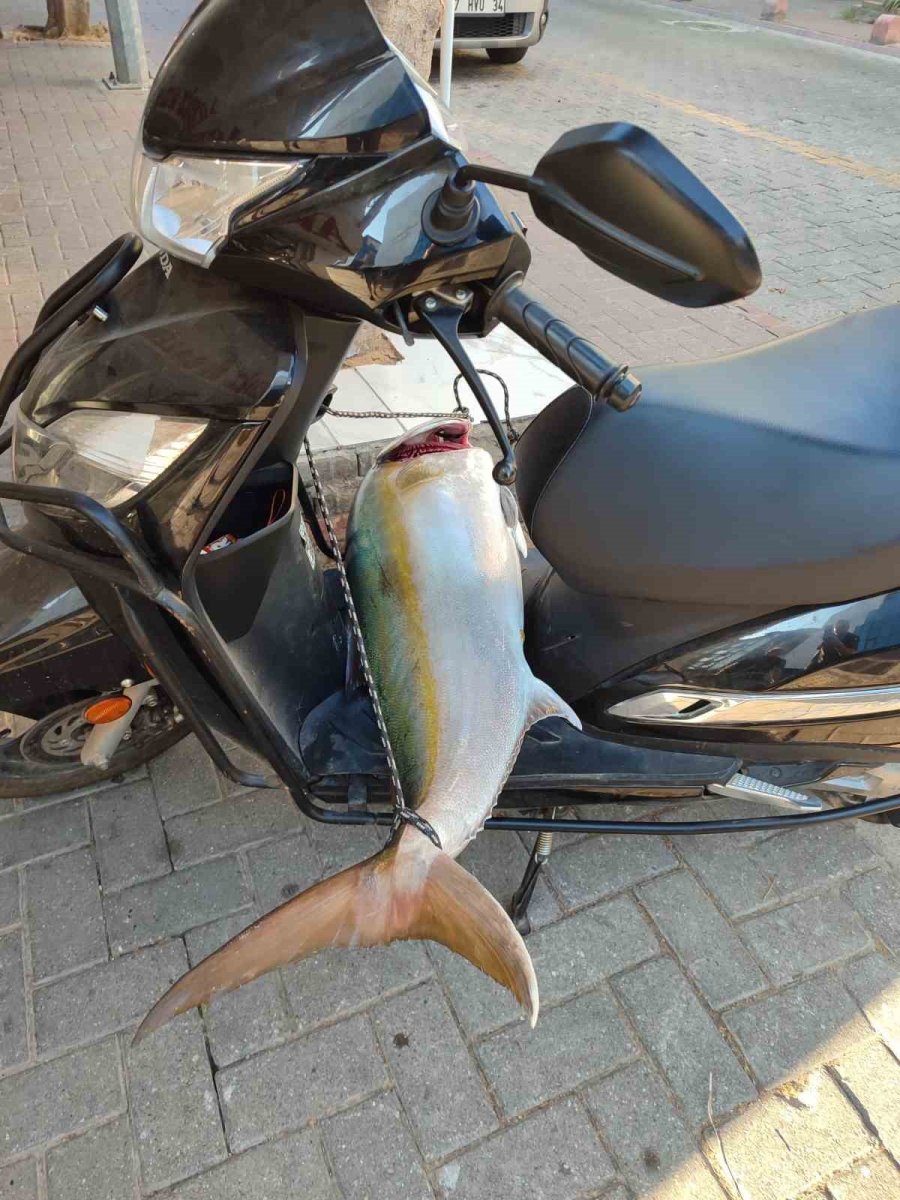 Oltayla Boyu Kadar Balık Tuttu