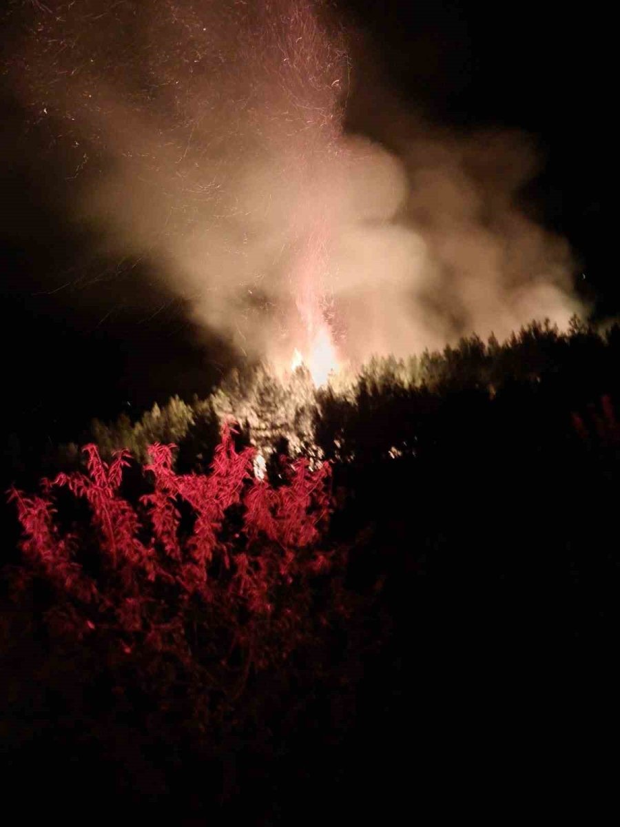 Alanya’da Gece Saatlerinde Çıkan Orman Yangını Kontrol Altına Alındı