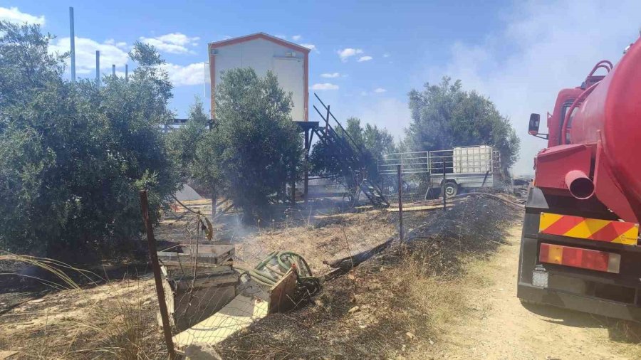 Antik Kente Yakın Zeytinlik Alanda Yangında 1,25 Dönüm Zarar Gördü