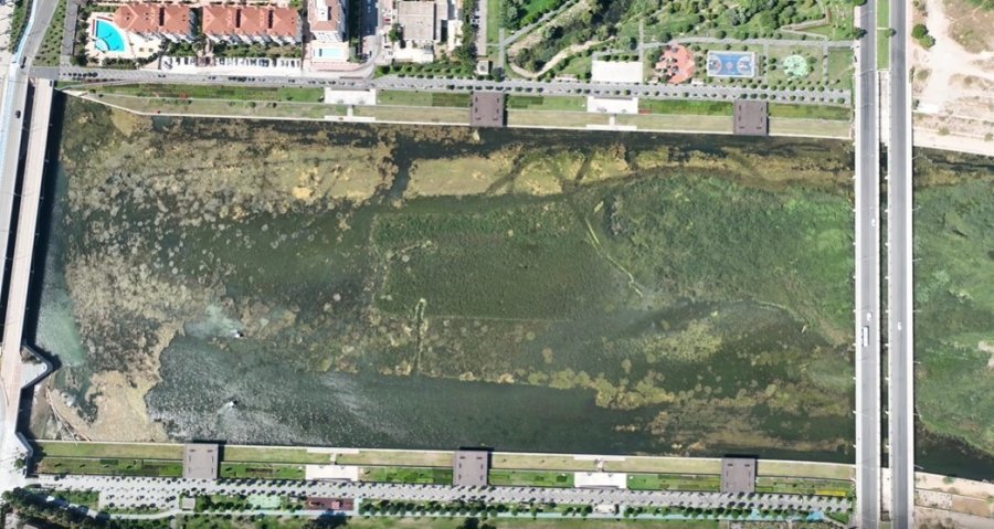 Boğaçayı Sucul Otlarla Kaplandı, "caretta" Ve "mavi Yengeç" Göreve Başladı