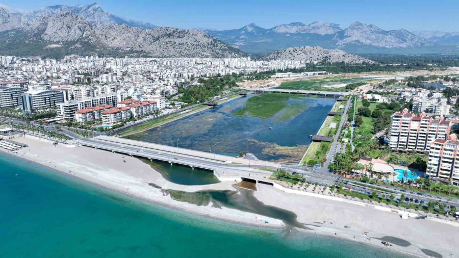 Boğaçayı Sucul Otlarla Kaplandı, "caretta" Ve "mavi Yengeç" Göreve Başladı
