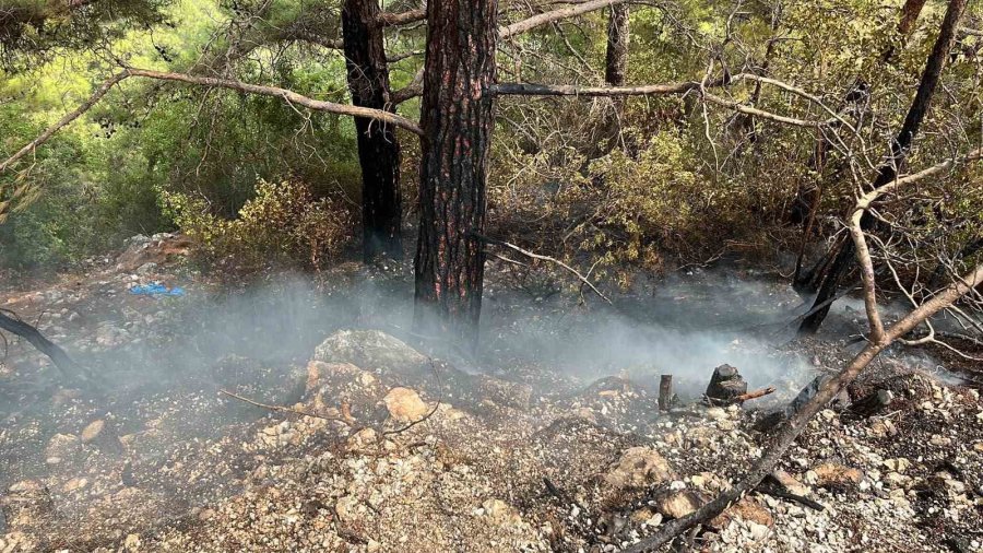 Alanya’da Ormanlık Alan Yangını Büyümeden Kontrol Altına Alındı