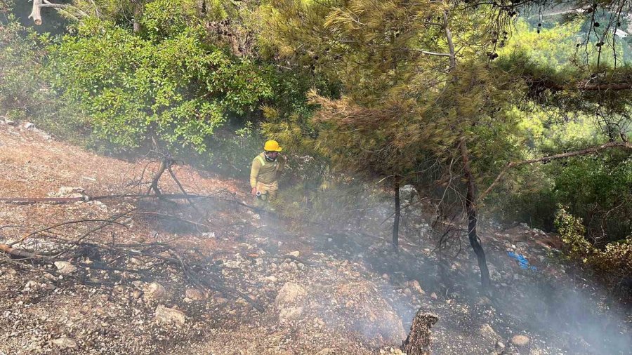 Alanya’da Ormanlık Alan Yangını Büyümeden Kontrol Altına Alındı