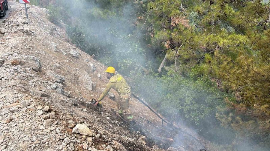 Alanya’da Ormanlık Alan Yangını Büyümeden Kontrol Altına Alındı