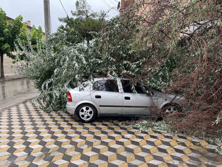 Niğde’de Devrilen Ağaç Park Halindeki Aracın Üzerine Düştü