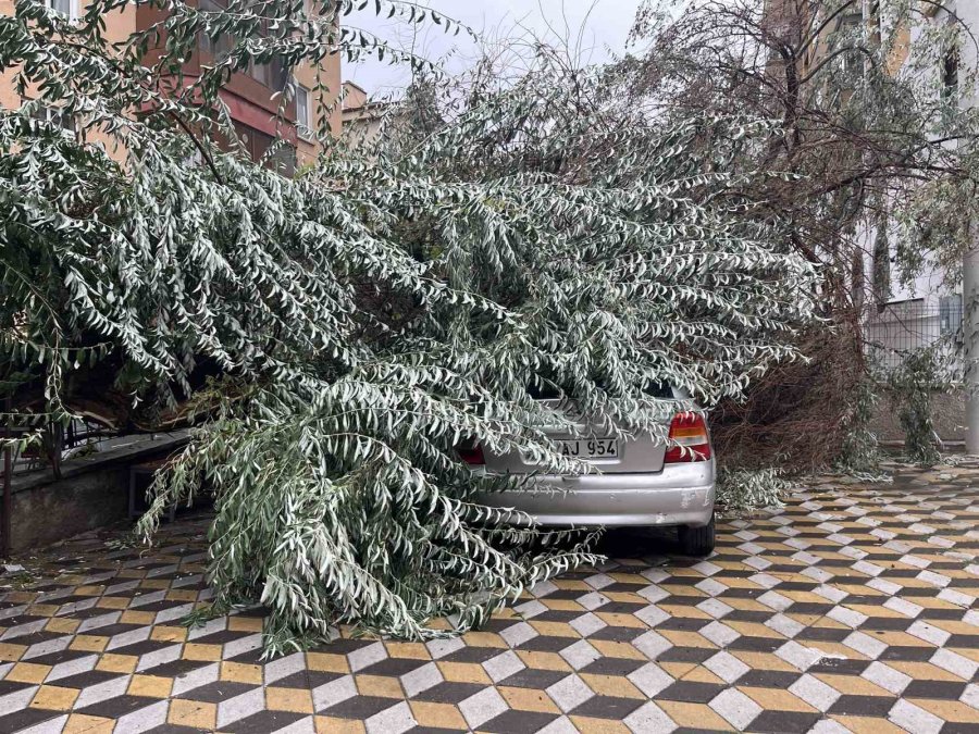 Niğde’de Devrilen Ağaç Park Halindeki Aracın Üzerine Düştü