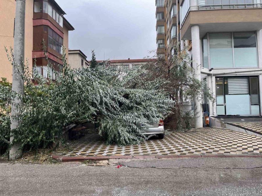 Niğde’de Devrilen Ağaç Park Halindeki Aracın Üzerine Düştü