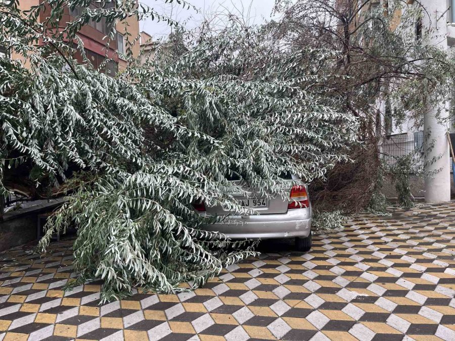 Niğde’de Devrilen Ağaç Park Halindeki Aracın Üzerine Düştü