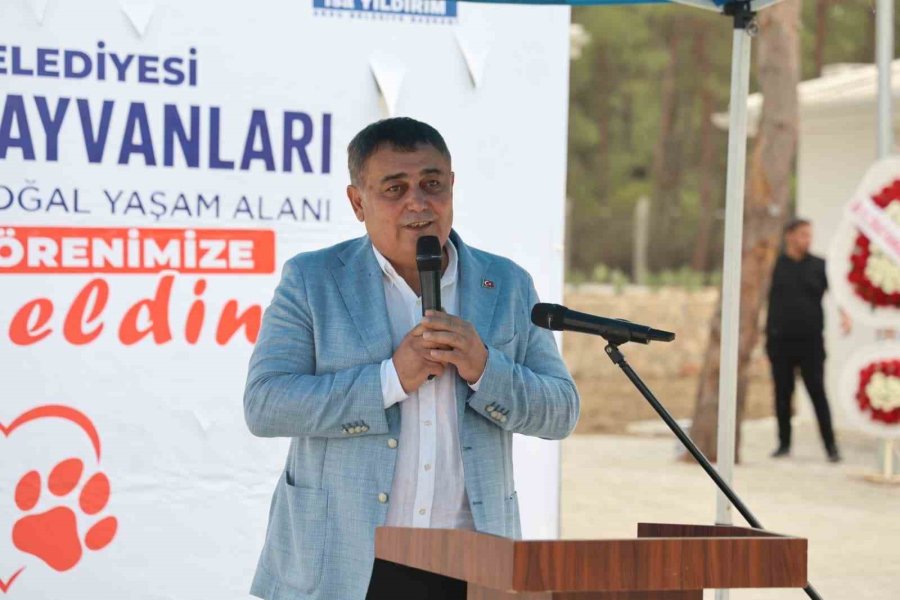 Antalya’nın En Büyük Sokak Hayvanları Bakımevi Ve Doğal Yaşam Alanı Aksu’da Açıldı