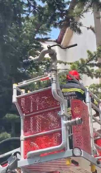 İtfaiyeden Kedi Kurtarma Operasyonu