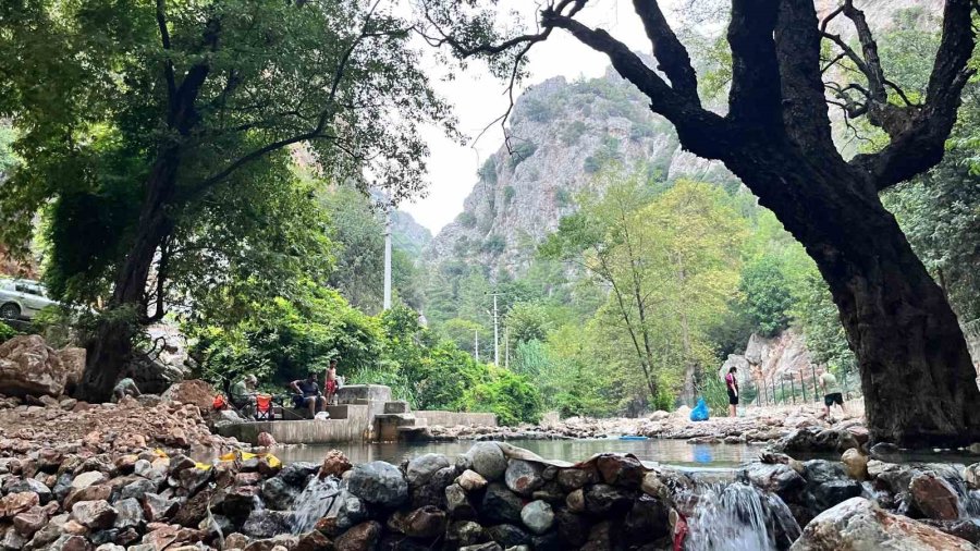 Gördükleri Manzaraya Duyarsız Kalmayıp, Eldiven Ve Maskeyle Temizlik Yaptılar