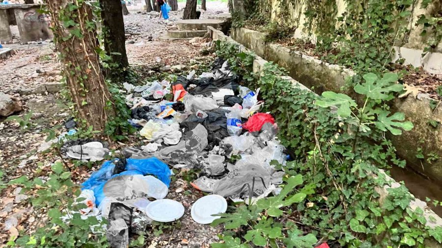 Gördükleri Manzaraya Duyarsız Kalmayıp, Eldiven Ve Maskeyle Temizlik Yaptılar