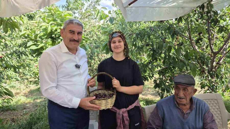 Gümüşler Tumlu Yaylası’nda Kiraz Hasadı Ve Yol Sevinci