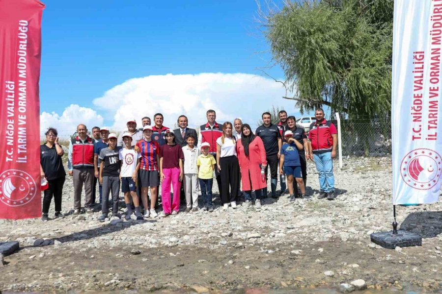 Niğde Bahçeli Göleti’ne Yavru Sazan Bırakıldı