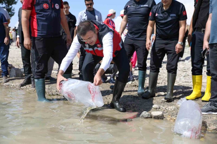 Niğde Bahçeli Göleti’ne Yavru Sazan Bırakıldı