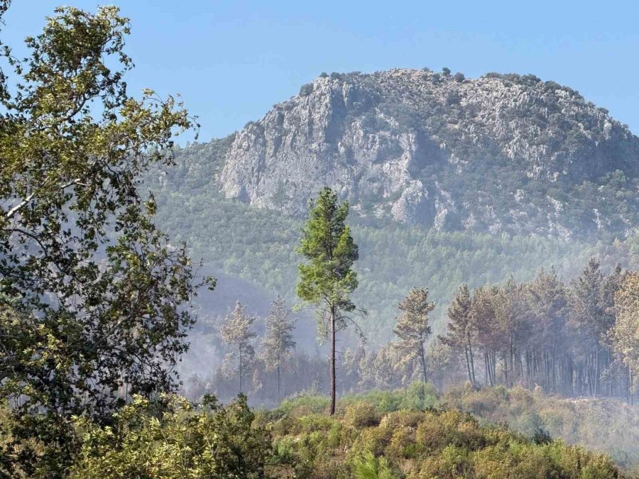 Antalya Serik’teki Yangının Enerjisi Düşürüldü