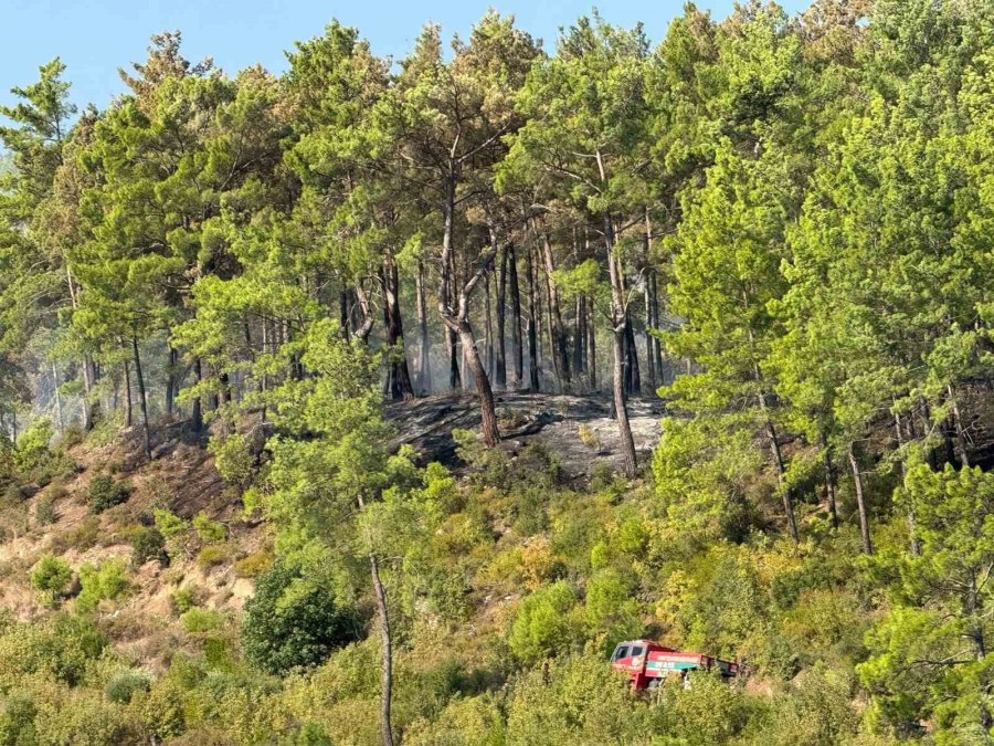 Antalya Serik’teki Yangının Enerjisi Düşürüldü