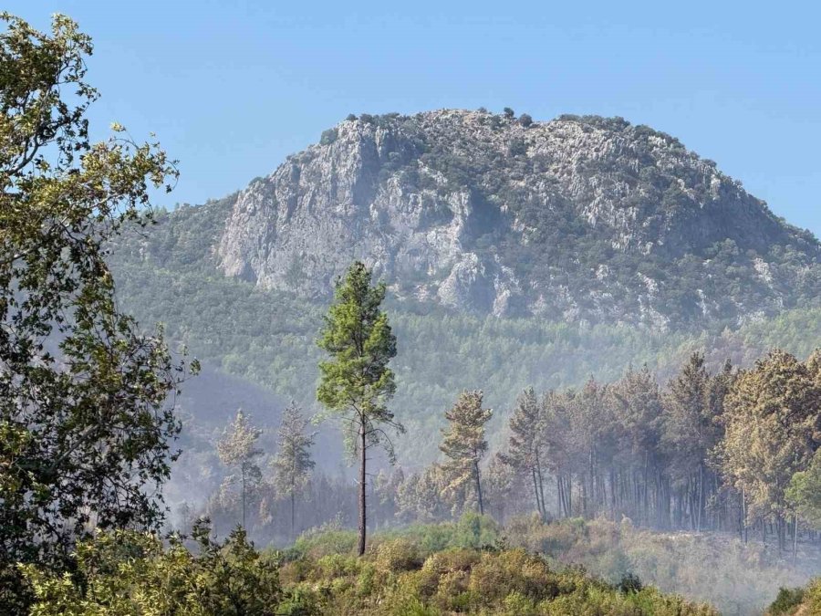 Antalya Serik’teki Yangının Enerjisi Düşürüldü